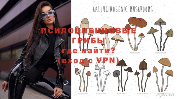стафф Белокуриха