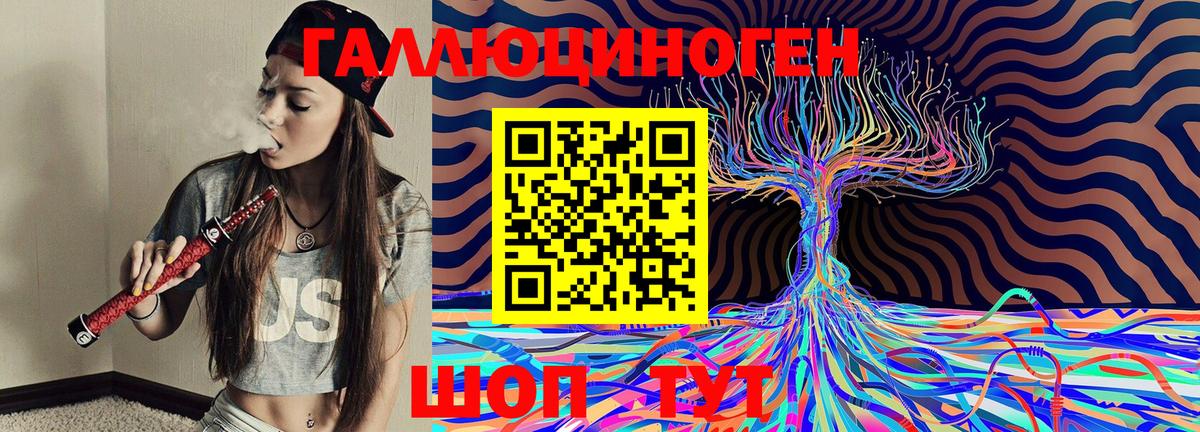 Псилоцибиновые грибы Cubensis Горячий Ключ