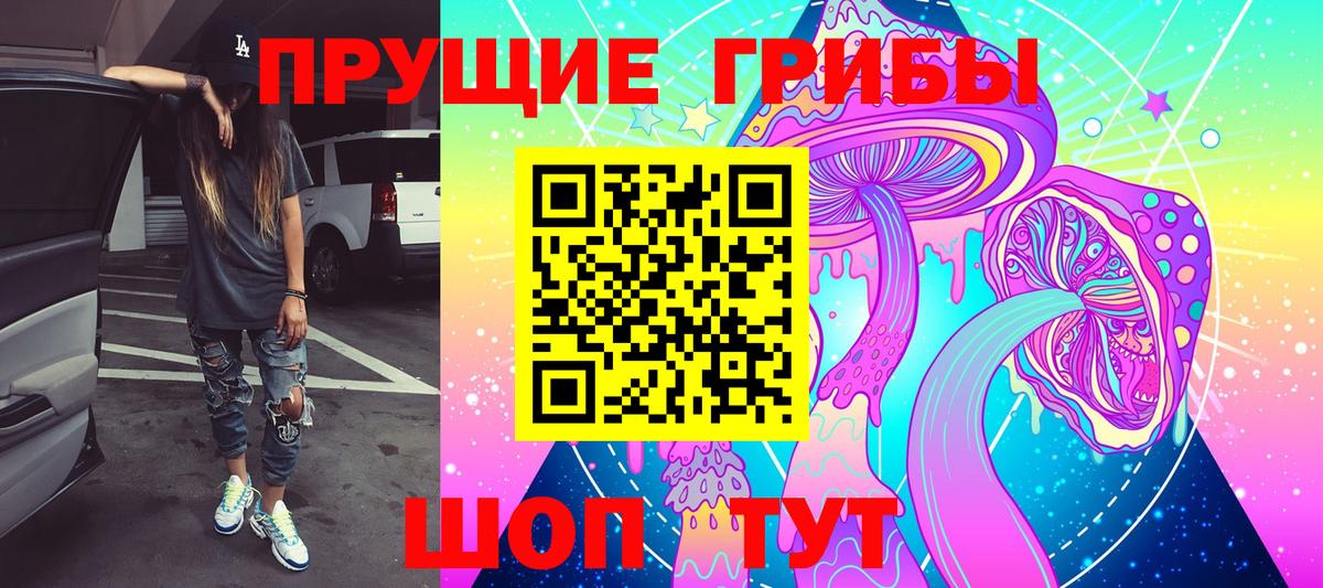 Галлюциногенные грибы прущие грибы  Вход с VPN  Горячий Ключ 