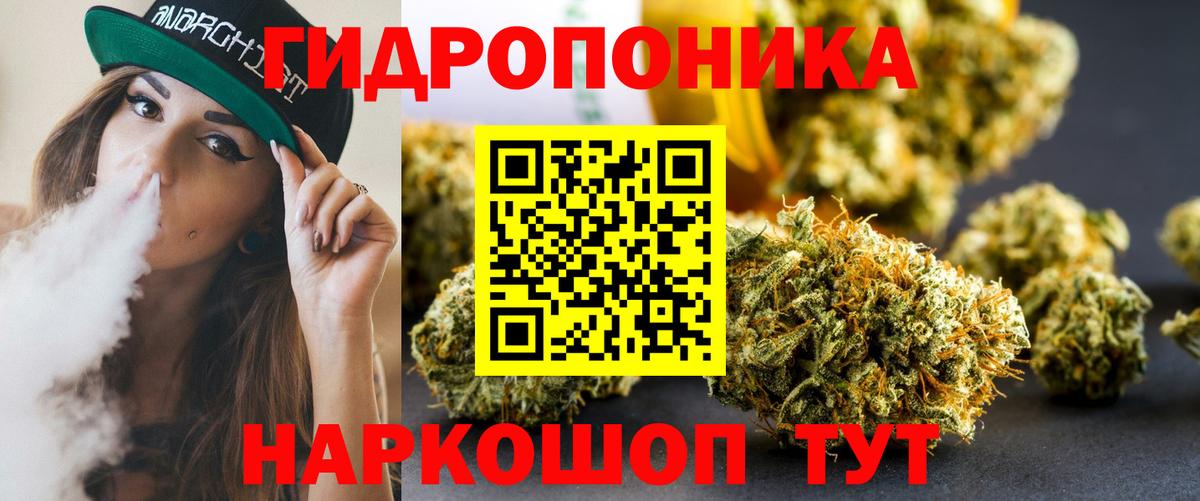 Шишки марихуана Amnesia Горячий Ключ